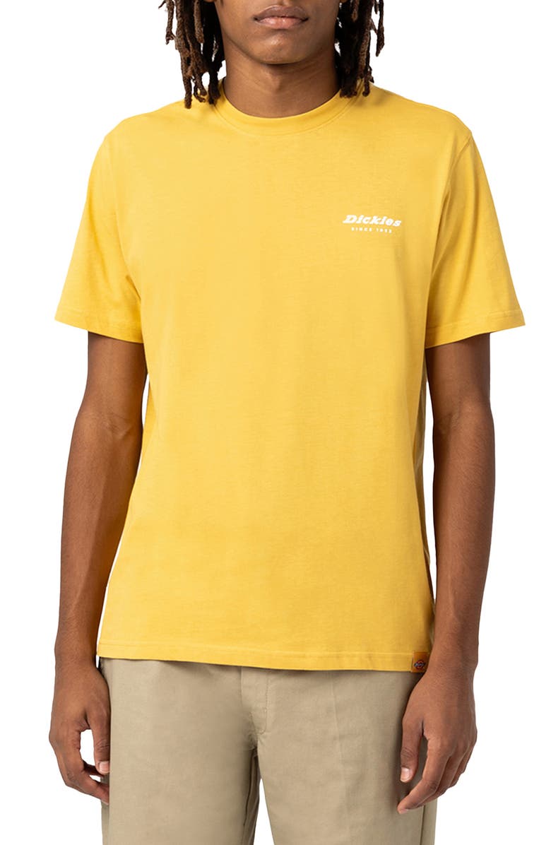 Dickies Camden Graphic Tee, Main, color,