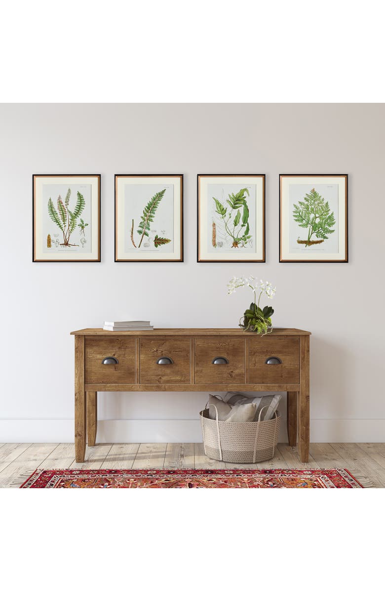 Napa Home & Garden 17.75" x 23" Decorative Structural Fern Botanical Study Framed Prints Set of 4, Alternate, color, Green