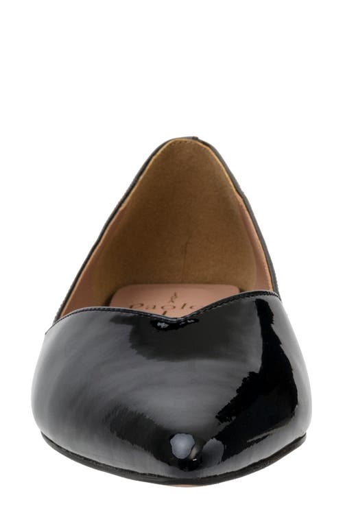 Linea Paolo Nasya Pointed Toe Flat In Black