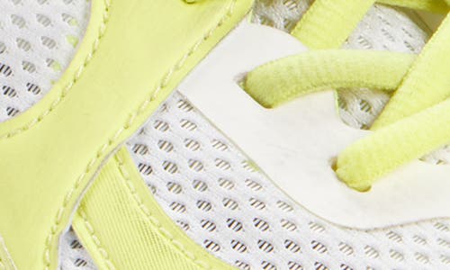 Balenciaga Sneakers Circuit
