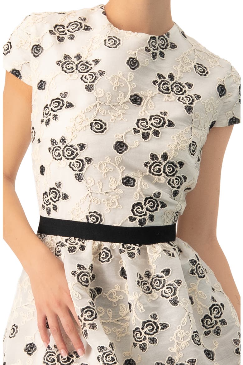 Floral Embroidered Short A-Line Dress, Alternate, color, Natural