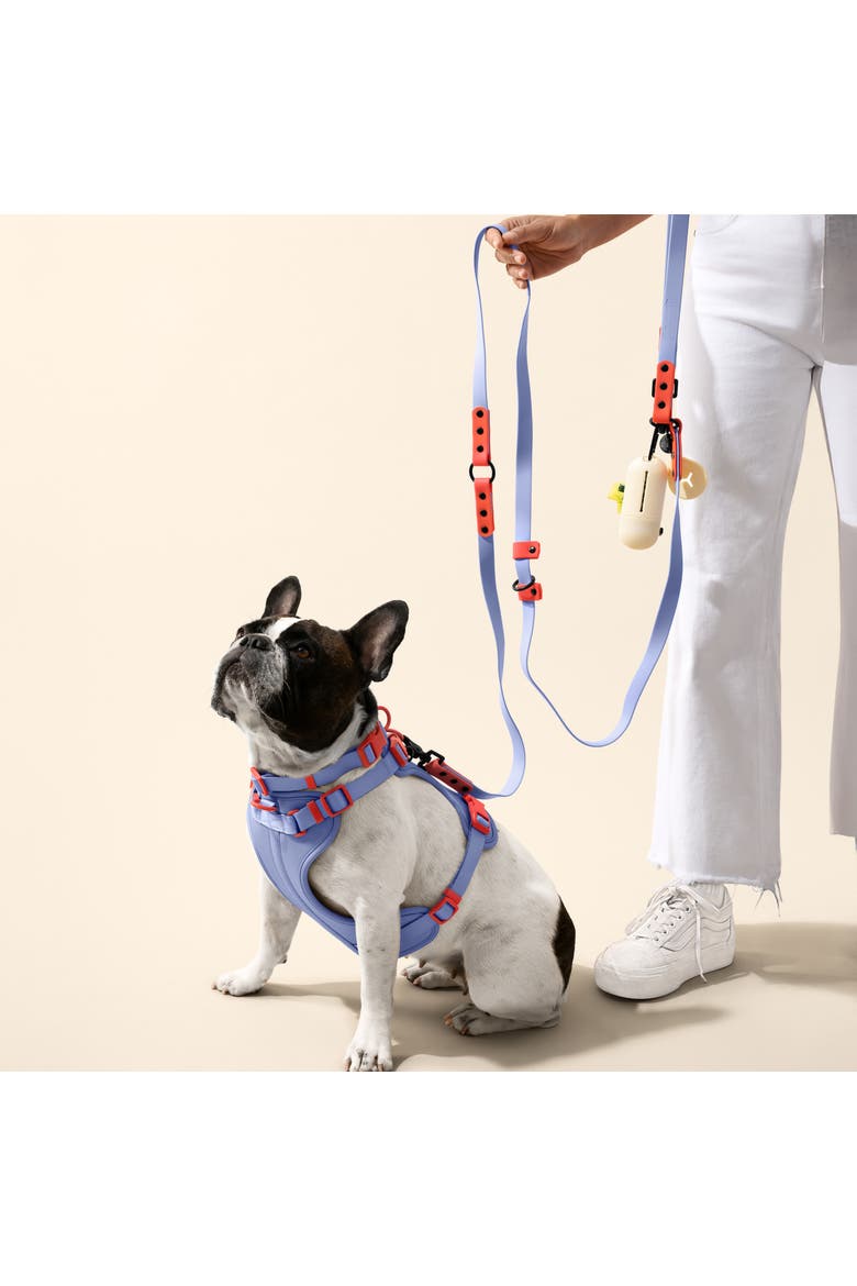 Arlo Adjustable Soft Padded No Pull Pet Harness with 3 Buckles and 3 Leash Clips, Alternate, color, Periwinkle