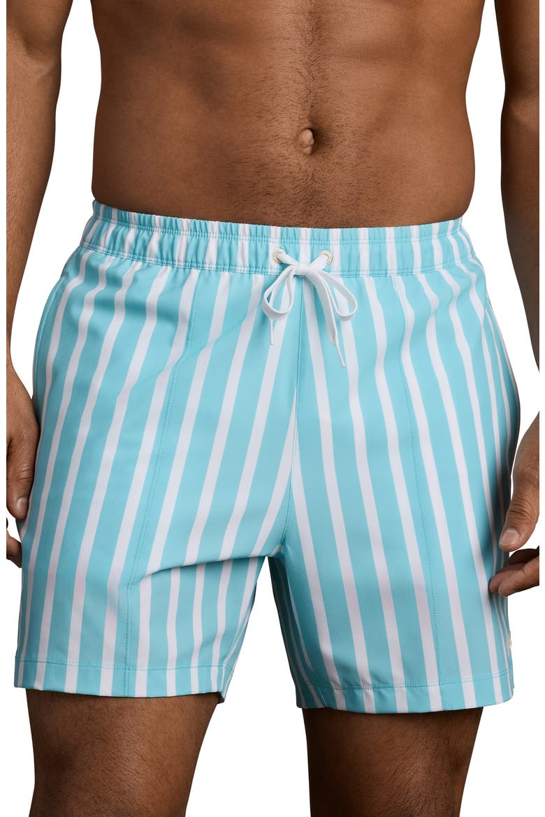 R and R Wide Stripe Swim Trunks, Alternate, color, BELIZE BLUE WIDE STRIPE