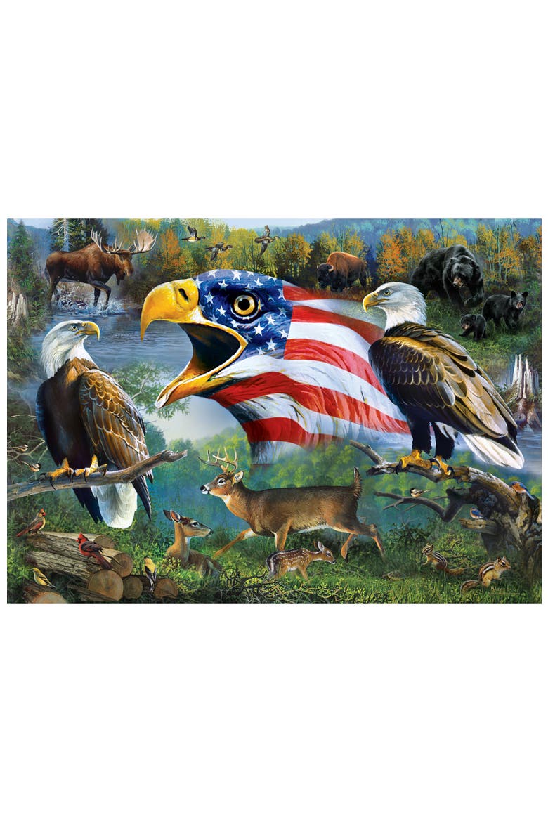 Freedom for All 1000pc Puzzle, Alternate, color, Multicolor