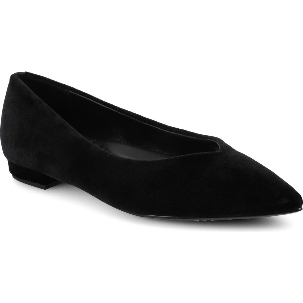 Birdies The Goldfinch 15 Velvet In Black