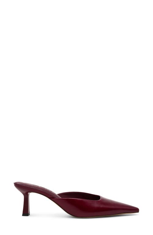 Steve Madden Lisbeth Pointed Toe Mule