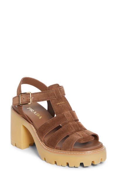 style board product image