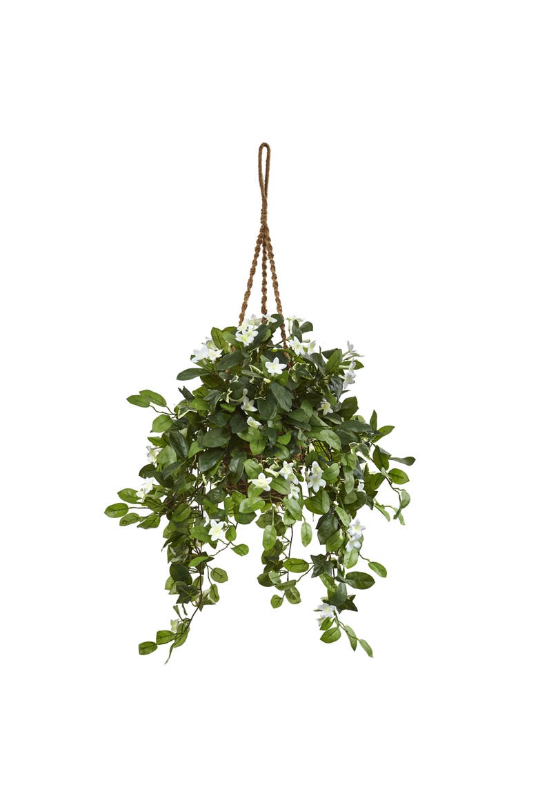 Stephanotis Flowering Artificial Plant in Hanging Basket, Main, color, Green