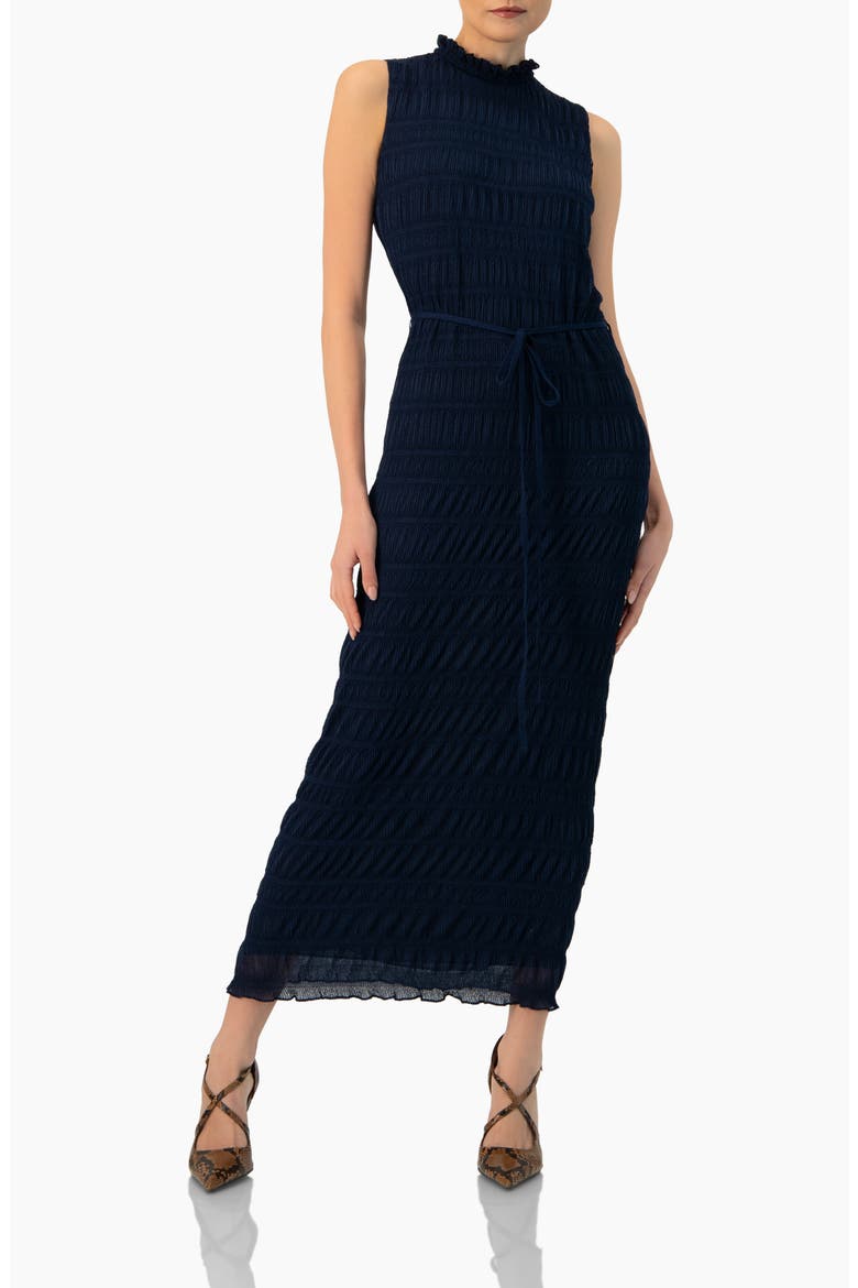 Sleeveless Long Pleated Dress, Main, color, Navy Blue