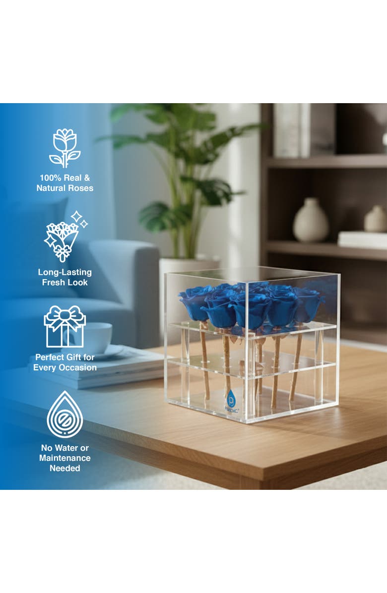 PURSONIC 9 Preserved Roses in Acrylic Box, Alternate, color, Blue