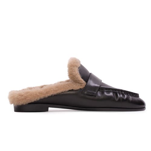 Black Suede Studio Theo Backless Loafer In Brown