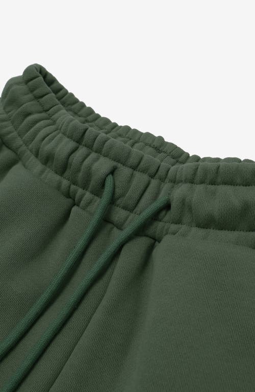 Students Highlands Cargo Sweatpants In Green