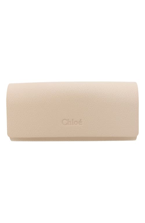 Chloé 54mm Core Square Sunglasses In Havana Havana Transparent