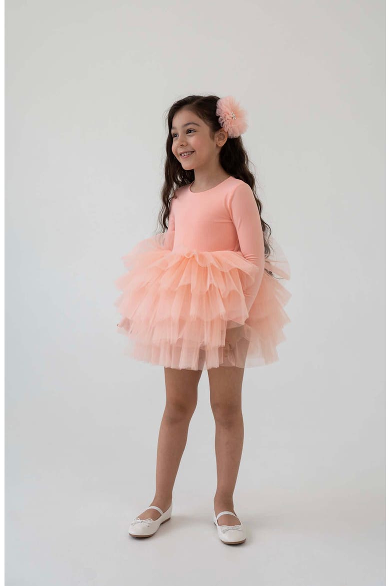 Blossom Long Sleeve Fluffy Tutu Dress, Main, color, Salmon Blossom