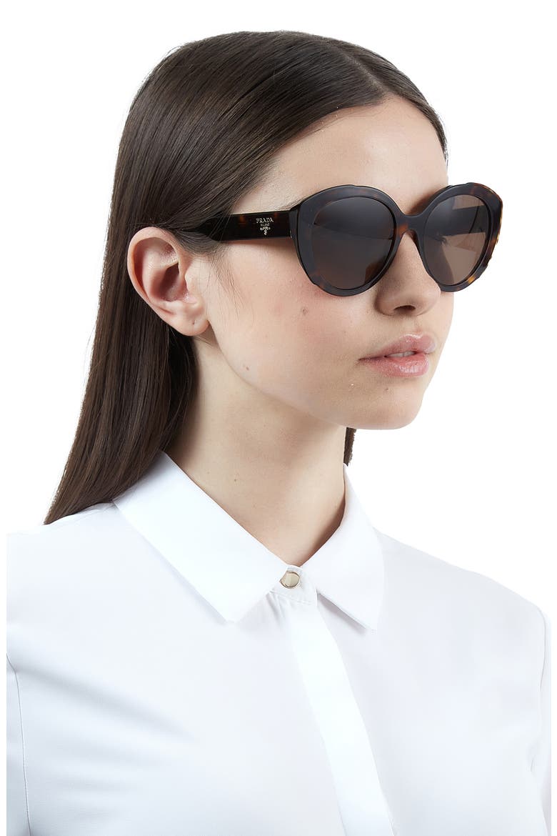 54mm Oval Cat Eye Sunglasses, Alternate, color, HAVANA/ DARK BROWN