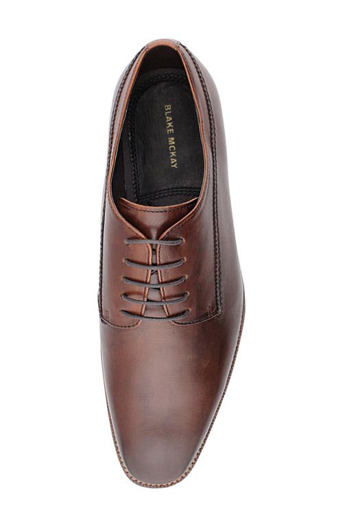 BLAKE MCKAY BLAKE MCKAY LUCAS PLAIN TOE DERBY 
