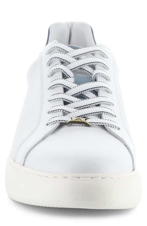 AMBITIOUS AMBITIOUS 10634A LOW TOP SNEAKER
