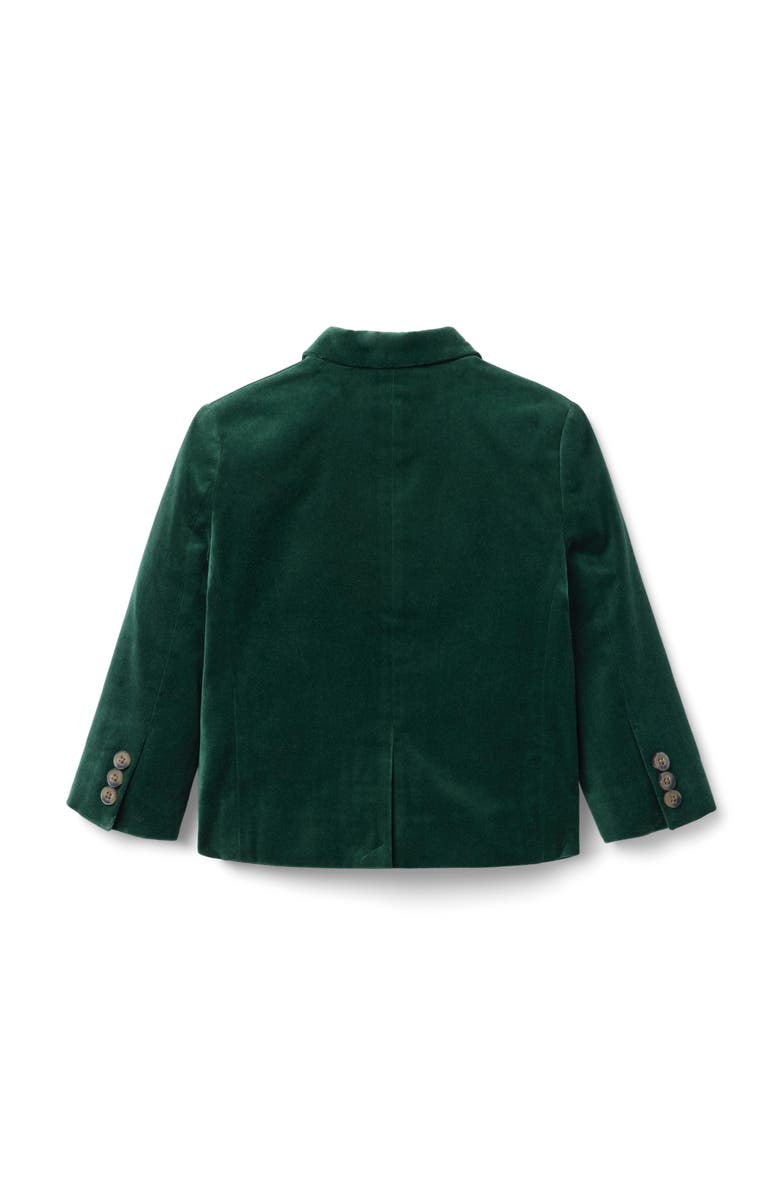 Janie and Jack The Velvet Party Blazer, Alternate, color, Green