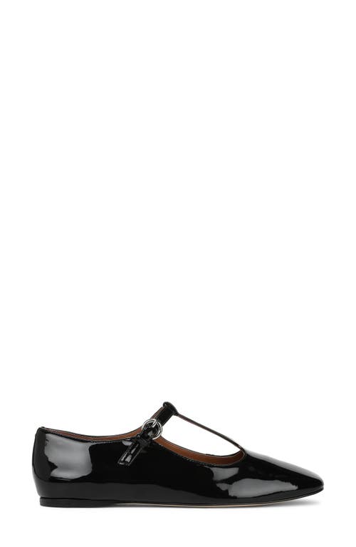 Sarto By Franco Sarto Flexa Astoria T-strap Flat