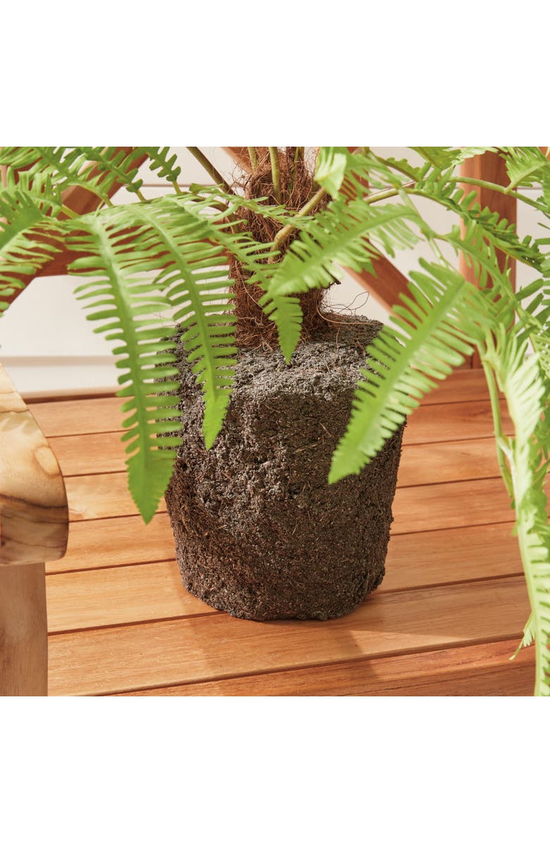 Napa Home & Garden Forest Fern Faux (Fake) Drop-In 29.5", Alternate, color, 