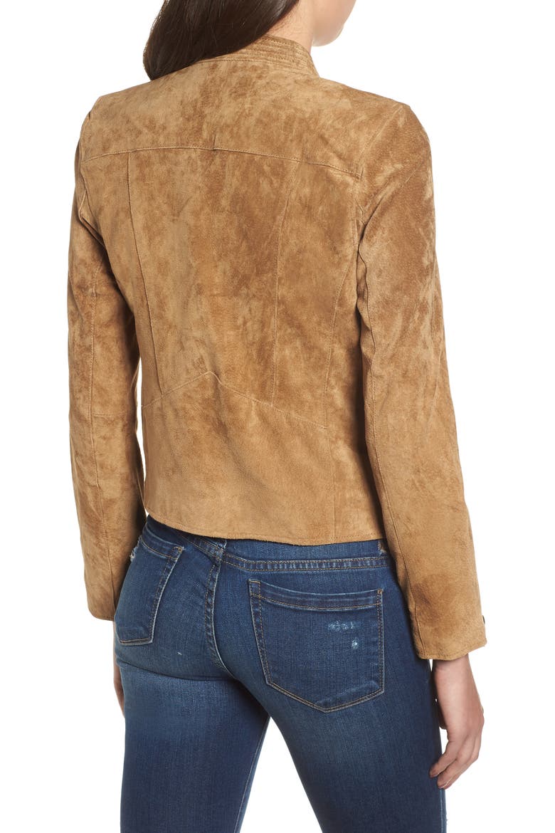 No Limit Suede Moto Jacket, Alternate, color, CASABLANCA