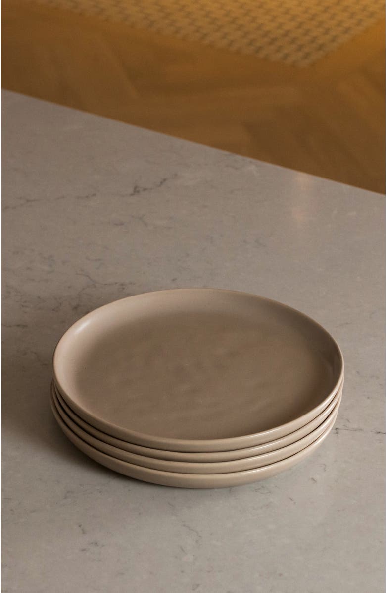 Fable Home Salad Plates, Alternate, color, Desert Taupe