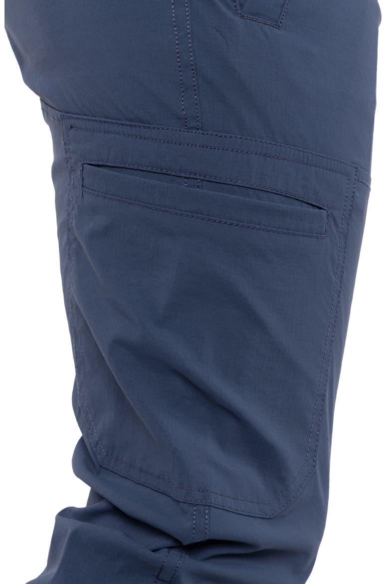 Slim Leg Cargo Pants, Alternate, color, NAVY