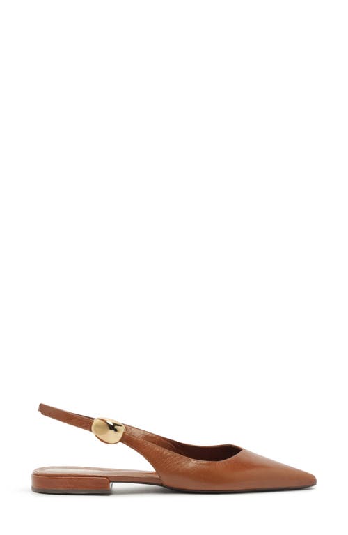 Arezzo Farrah Slingback Pointed Toe Flat In Brown