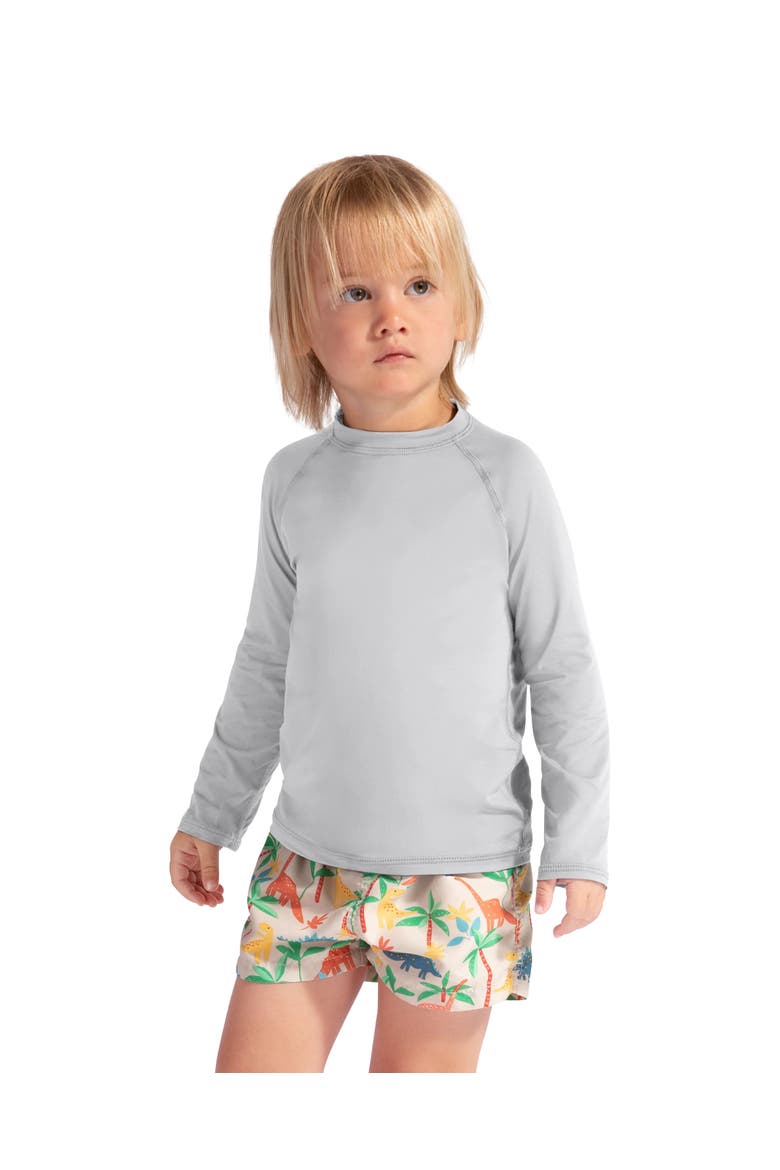 Toddler's Long Sleeve Crew Neck Top for Sun and UV Protection, Alternate, color, Soft Gray