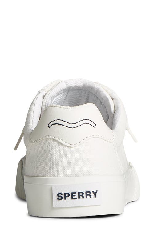 Sperry Top-sider® Bermuda Ltt Sneaker