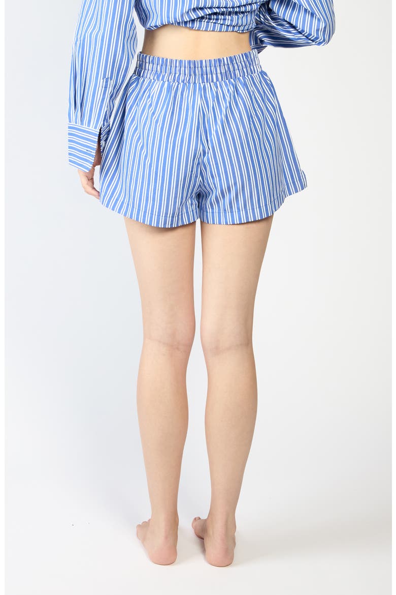 Seaside Boxer Shorts, Alternate, color, BLUE
