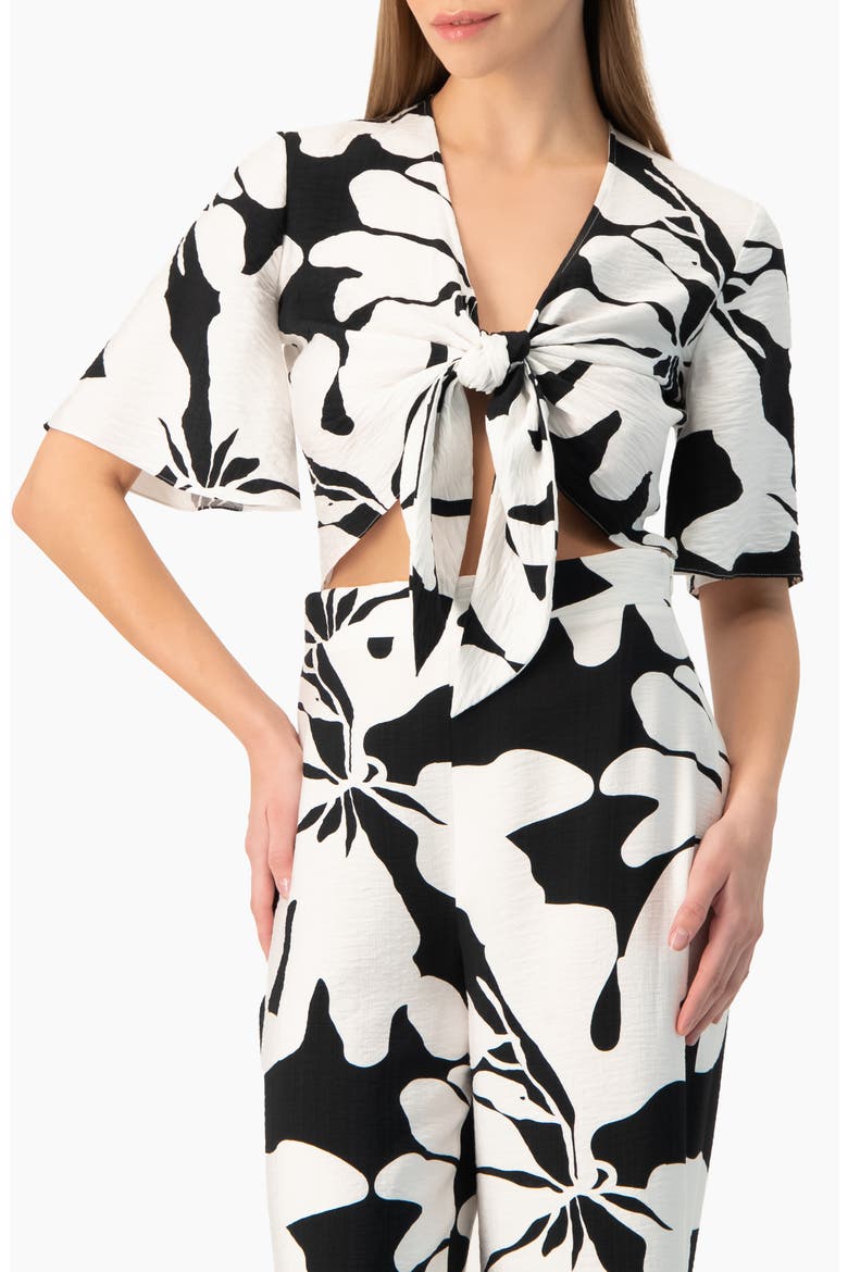 Bold Floral Print Tie-Front Wide-Sleeve Crop Top, Main, color, Black