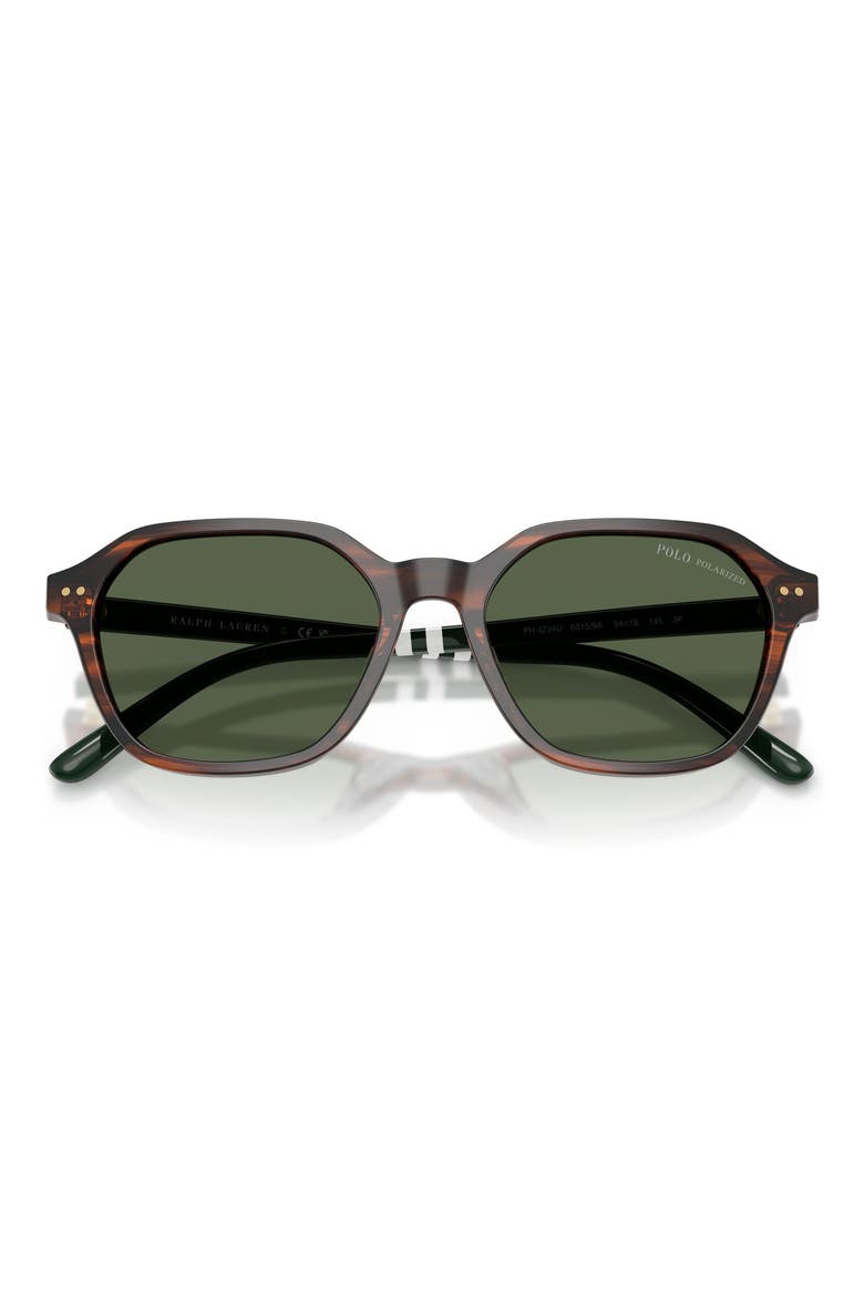 54mm Polarized Irregular Sunglasses, Alternate, color, SHINY HAVANA / POLAR GREEN