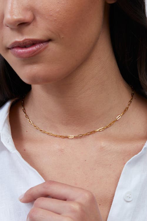 Mint & Lily Thin Paperclip Necklace