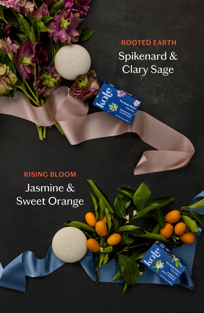 Kate McLeod Spring Stone Duo $76 Value, Alternate, color, 