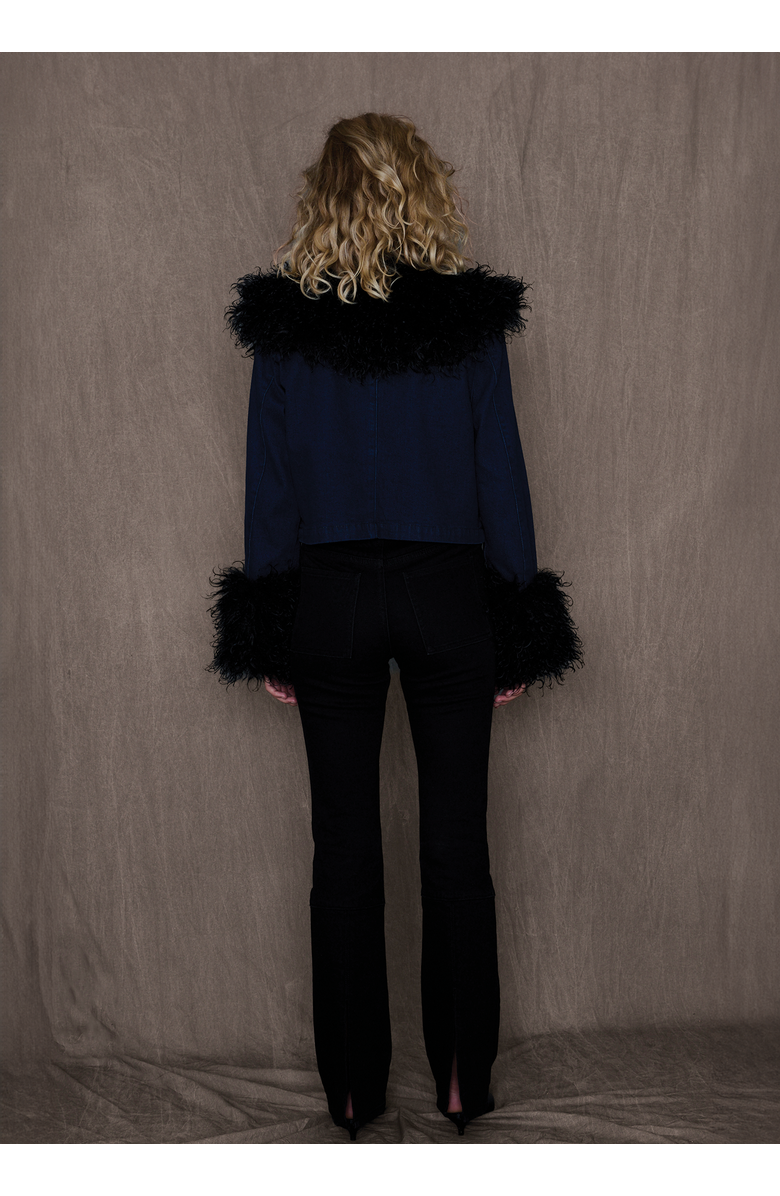 TT Studios Kimmy Jacket Petite, Alternate, color, Beekman St.