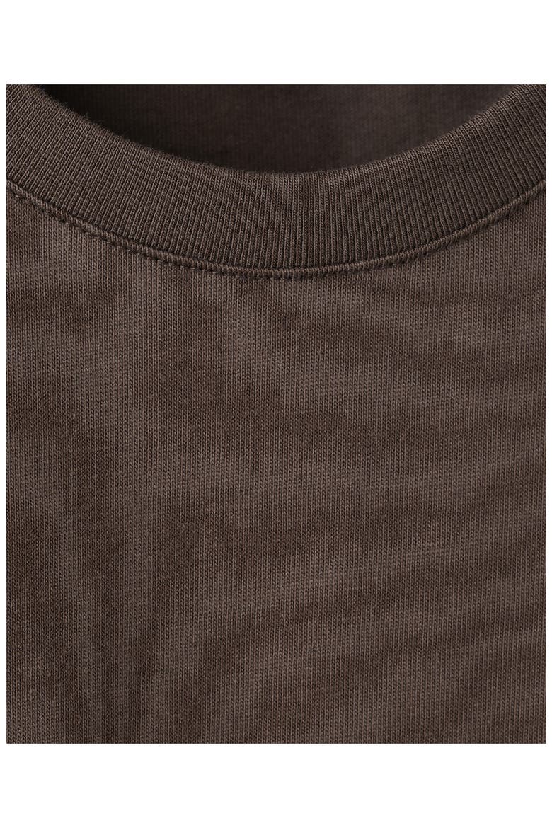 Embroidered Cotton T-Shirt, Alternate, color, BROWN