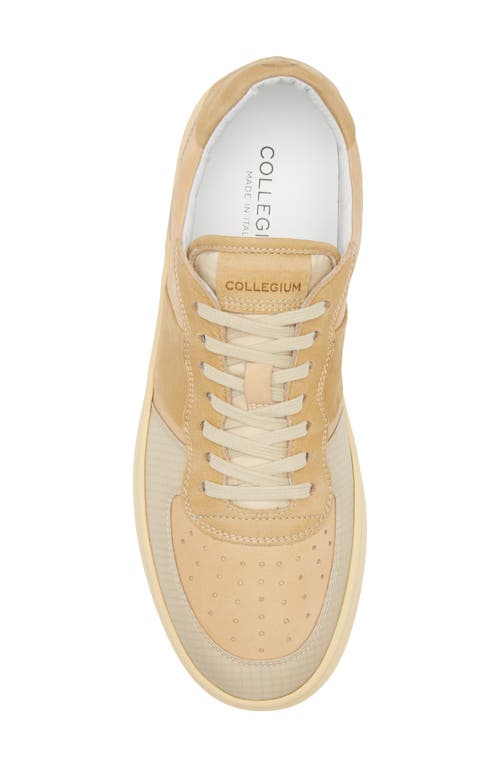 Collegium Pillar Destroyer Low Top Sneaker In Brown