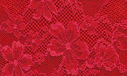 Fleur Du Mal Le Stretch Lace Bodysuit In Rouge In Rouge