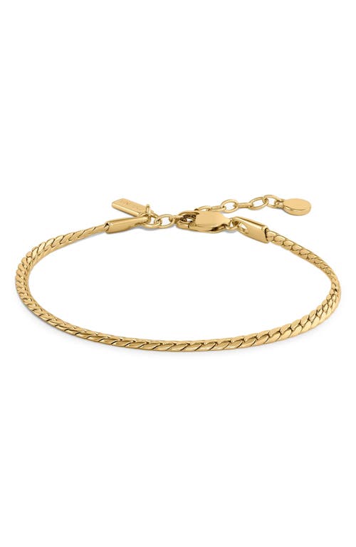 Vincero The Serpentine Bracelet In Gold