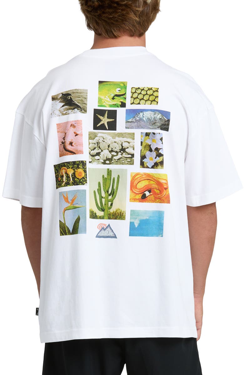 Billabong Moments Adventure Division OG Fit Cotton Graphic T-Shirt, Alternate, color, 