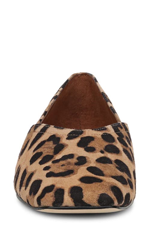 Sarto By Franco Sarto Adalina Ballet Flat In Brown