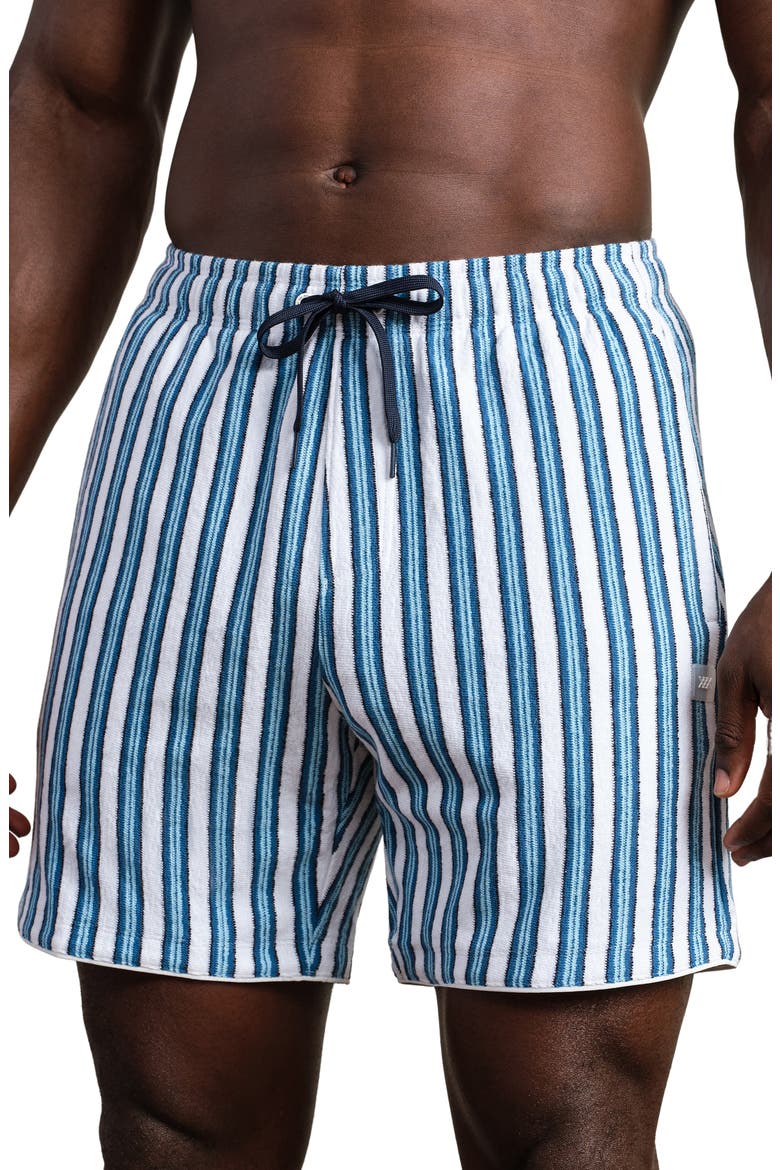 Seaside Terry Shorts, Main, color, ASH BLUE VINTAGE STRIPE