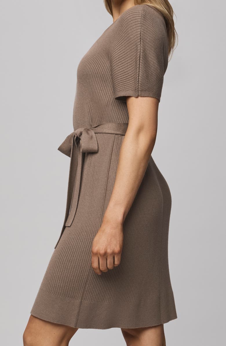 Splendid Georgie Tie Waist Rib Sweater Dress, Alternate, color, Cedar Brown