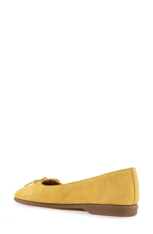 AEROSOLES AEROSOLES NOVIA BALLET FLAT