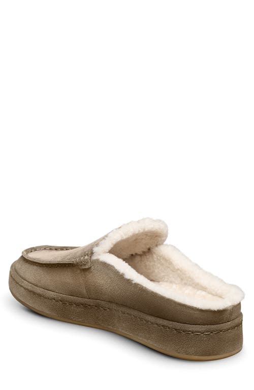 Allen Edmonds Bowen Genuine Shearling Lined Mule Slipper In Brown