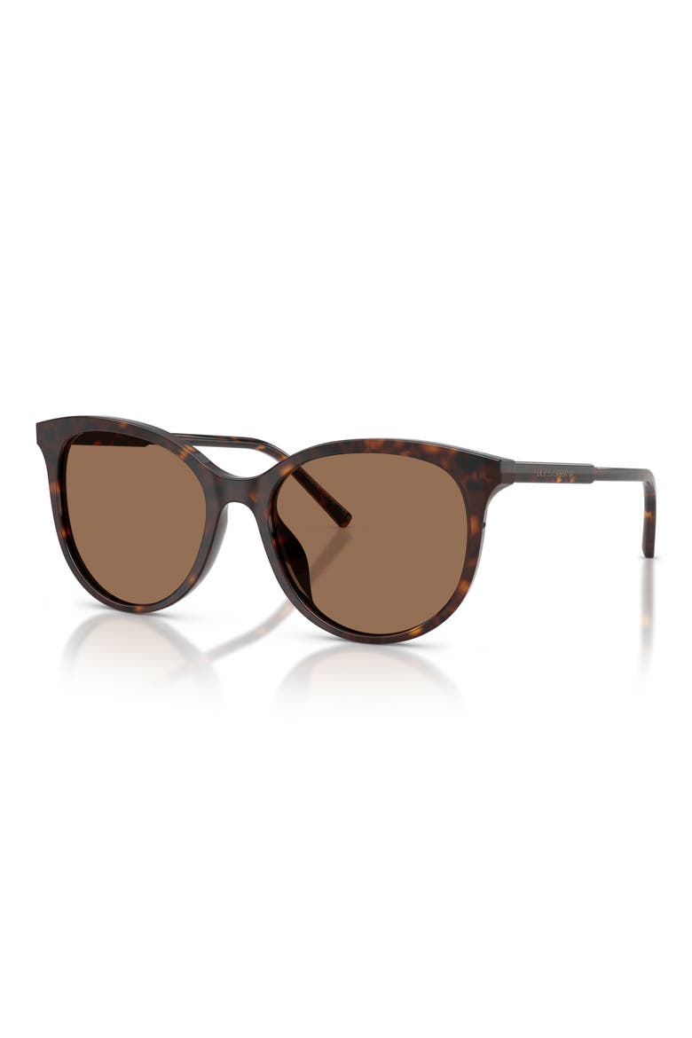 55mm Phantos Sunglasses, Alternate, color, HAVANA / DARK BROWN