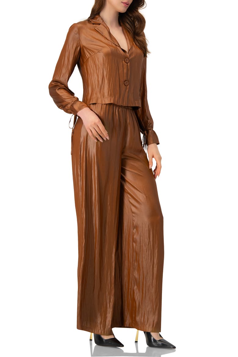 Satin Wide-Leg Trousers, Alternate, color, Brown