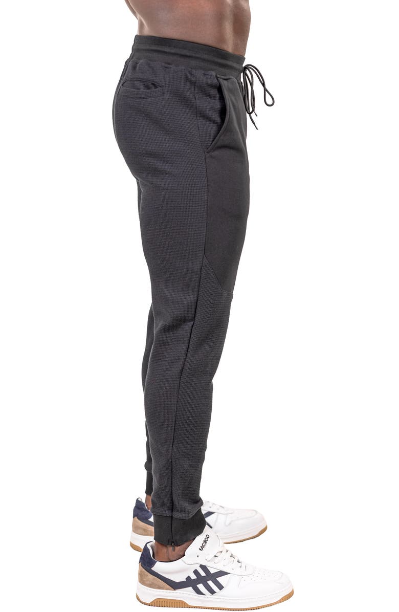 Maceoo Crow Drawstring Joggers, Alternate, color, Black