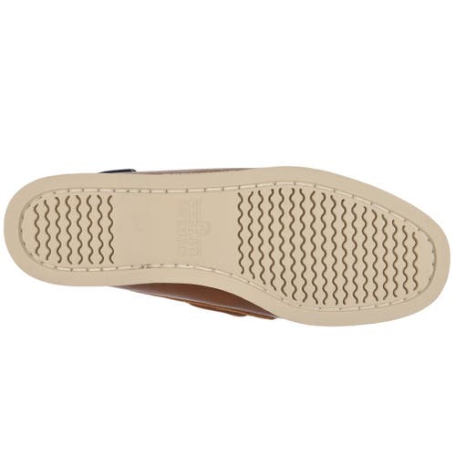 Sebago Docksides Portland Woman Boat Shoes In Brown